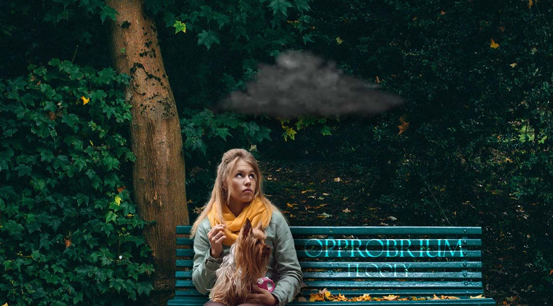 Girl with Dog on Bench with Dark Cloud
